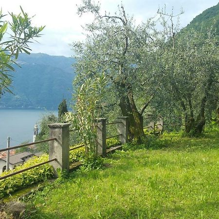 Gli Ulivi Di Nesso Villa Buitenkant foto