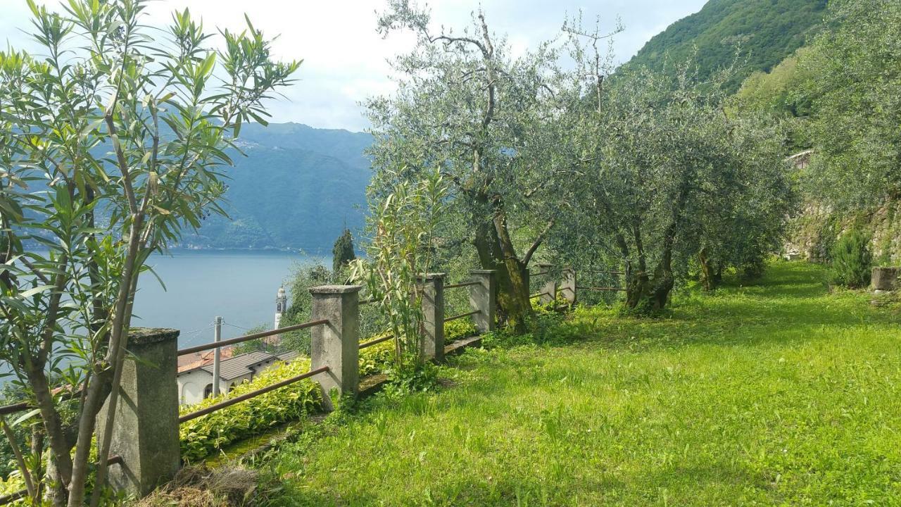 Gli Ulivi Di Nesso Villa Buitenkant foto