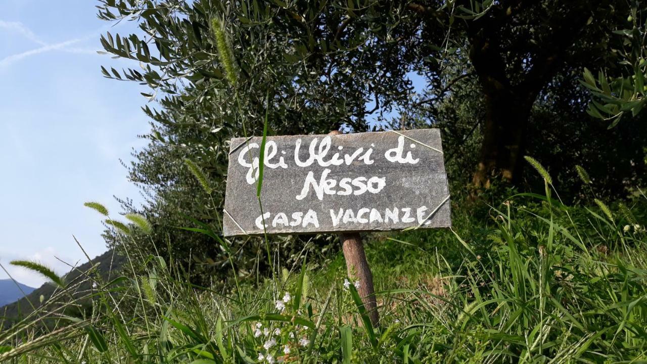 Gli Ulivi Di Nesso Villa Buitenkant foto